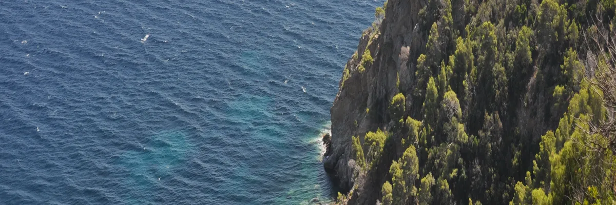 Image Cuisiniste sur mesure Cavalaire-sur-Mer